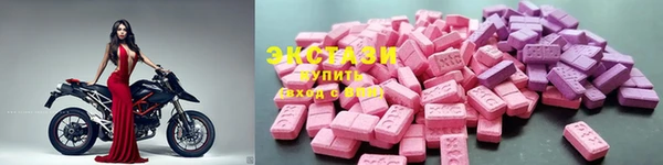молекула духа Бердск