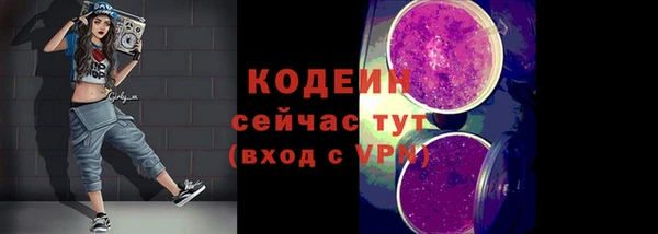 молекула духа Бердск