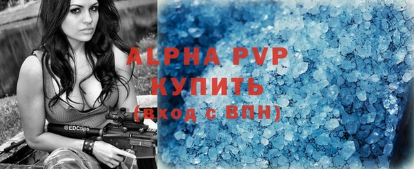 молекула духа Бердск