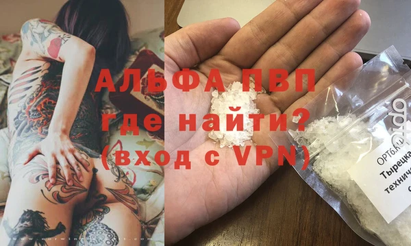 молекула духа Бердск