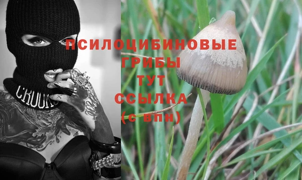 прущий лед Долгопрудный