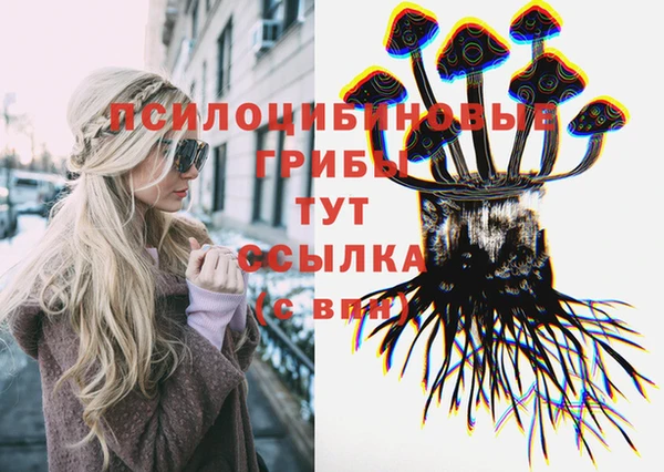 амф Ачинск
