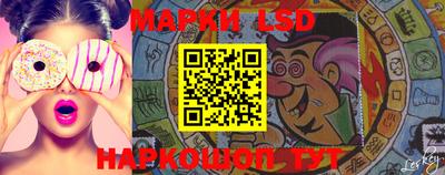гидропоника Кингисепп