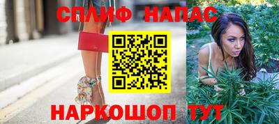 гидропоника Кингисепп