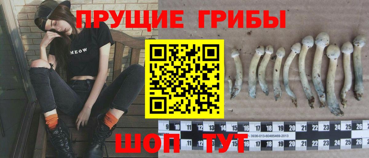 Галлюциногенные грибы MAGIC MUSHROOMS  Вход с VPN  Лыткарино 